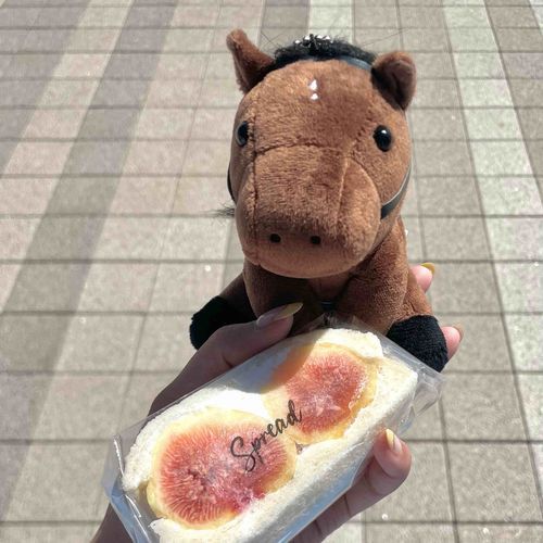 🏇中山競馬場🏇
🥯いちじくのサンドイッチ🥯

昨日は推し馬・レガレイラの応援に中山競馬場へ行きました。応援の甲斐あり見事に優勝しました🥇

去年の有馬記念ぶりにれがちゃんに会ったけど、相変わらず可愛いかったです。牡馬みたいな戦績でなぜか牝馬限定戦では凡走してしまう天才少女・レガレイラ。優しくて女子相手だと本気を出せないけど、強いので男子相手だと火がついちゃうんだろうなと勝手に妄想。ミステリアス美少女です😎

レガレイラが所属してる木村哲也厩舎の馬着？(馬が腰にかけてる布)のデザインが好きです。みんなつけて調教してる姿がめちゃかっこよなのです。特にレガレイラは姫って感じでかなり似合っててかなりかっこよで好きです。今回はつけてたか知らないけど…(体調不良でSNS見れてなかった)