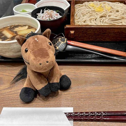 少し早めの年越し蕎麦。しらすごはん付きでした。しらすを食わず嫌いしていたのですが、仕方なく食べてみたら好物になるくらい美味しかったです。なんでも食べてみないとだめですね🥺

------------------------------

🐴有馬記念レース回顧🐴
⚠️長いです⚠️

明確な逃げ馬が2頭いて、かなり縦長の展開になることは予想されていたため、レガレイラが4角で最後方にいた時点で勝ちは諦めました。他の馬が直線の坂でばてればなんとか3着かなという感じでしたが、中山巧者が多い=スタミナ豊富な馬が多いため、やはり掲示板がいっぱいいっぱいでした。良馬場でしたが、馬場が少し緩んでいたらしく、それならなおさらいつもより前の方にいないと馬もこなせないです。ルメールはほとんどすべての馬と手が合いますが、たまに手が合わない馬がいて、それがレガレイラです。ルメールもレガレイラに乗るとなぜかルメールらしさが消えます。

一方、推し騎手のこへたんこと松山弘平Jはタスティエーラと手が合うため、やはりこれ以上ない競馬をしており、大外枠に絶望して泣いていた出資者やファンも大満足のラストランになりました。レース前は勝たなければ意味ない！2着じゃ意味ない！みたいな感じで荒れてる競馬民ですが、結局は掲示板すら入れなくてもこれ以上ない競馬をしてくれればファンや出資者は納得します。しかしレガレイラに関しては乗り替わりさえなければポジションさえ取れれば勝てるレースだったので、遺恨が残る有馬記念になってしまいました。これも競馬だと一言で片付けるにはまだまだ時間がかかりそうです。。。

まあでも前を向いてはいます。上がり最速で想像以上の追い上げを見せてくれたレガレイラには希望しかありません。でも来年は5歳なので年齢的な不安もあるとは思います。ひとつでも多く星を増やして無事に繁殖に上がれることを願っています。

有馬記念はほぼ毎年当ててるレースで、ラストのホープフルSで盛大に外してプラマイゼロで年を越すのが例年でした。今年は有馬記念がラストになり、ホープフルSでは回収率1000%超えしましたが、有馬記念は1着〜3着まで1頭も買い目に入れていない馬で決まってしまいました。絞れなかったのでファン投票した馬+推しの騎乗馬で買い目を決めてしまったんですよね。5頭+タスティエーラでかなり絞れたうえにオッズ妙味あり被害は最小で済みました。絞れない時はだいたい最初から消してる馬が馬券になるのであんまり買わない方がいいんですよね。。。

東京大賞典はアウトレンジの単複だけ買おうと思います。強い馬が勢揃いなので厳しいと思いますが、地方競馬の馬券には騎手の名前も印刷されるので、グッズを買う感じで馬券を買ってしまいます笑