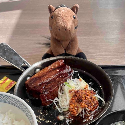 今日も吉野家の厚切り豚角煮定食を食べました。れがちも食べたいって言うからです。それくらい美味しいです。熊は冬眠できますが人間は冬眠できないので太ることで冬を乗り越えたいです🐷

そういえばごはん大盛り無料なので大盛りにしてみようかなと思ったのですが、店員さんが前に並んでたぽっちゃり女子には「ごはん大盛りにしますか？」って聞いてたのに、わたしには「ごはん並盛りでいいですか？」って聞いてきたので、わたしはごはん大盛り食べなさそうに見えるんだ！！って喜んでごはん並盛りでお願いしてしまいました。