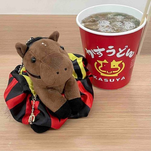 🏇中山競馬場🏇
中山開催最終日(1/25)に行った時の写真。レガレイラに勝負服シュシュをプレゼント🎁ドレスみたいでかわちい❤️💛🖤

そして大好きなかすうどんを食べました。かすうどん…かすって…縁起悪そう…と思ってたのですが、加寿だから縁起良かったです。一時期かすうどん食べたら馬券めっちゃ当たってたけど、スプリンターズSのウインカーネリアンの単勝を当ててから当たらなくなりました。かすうどんは力を使いすぎておやすみ中なんだなと思います。またそのうち復活しますよ…🐴