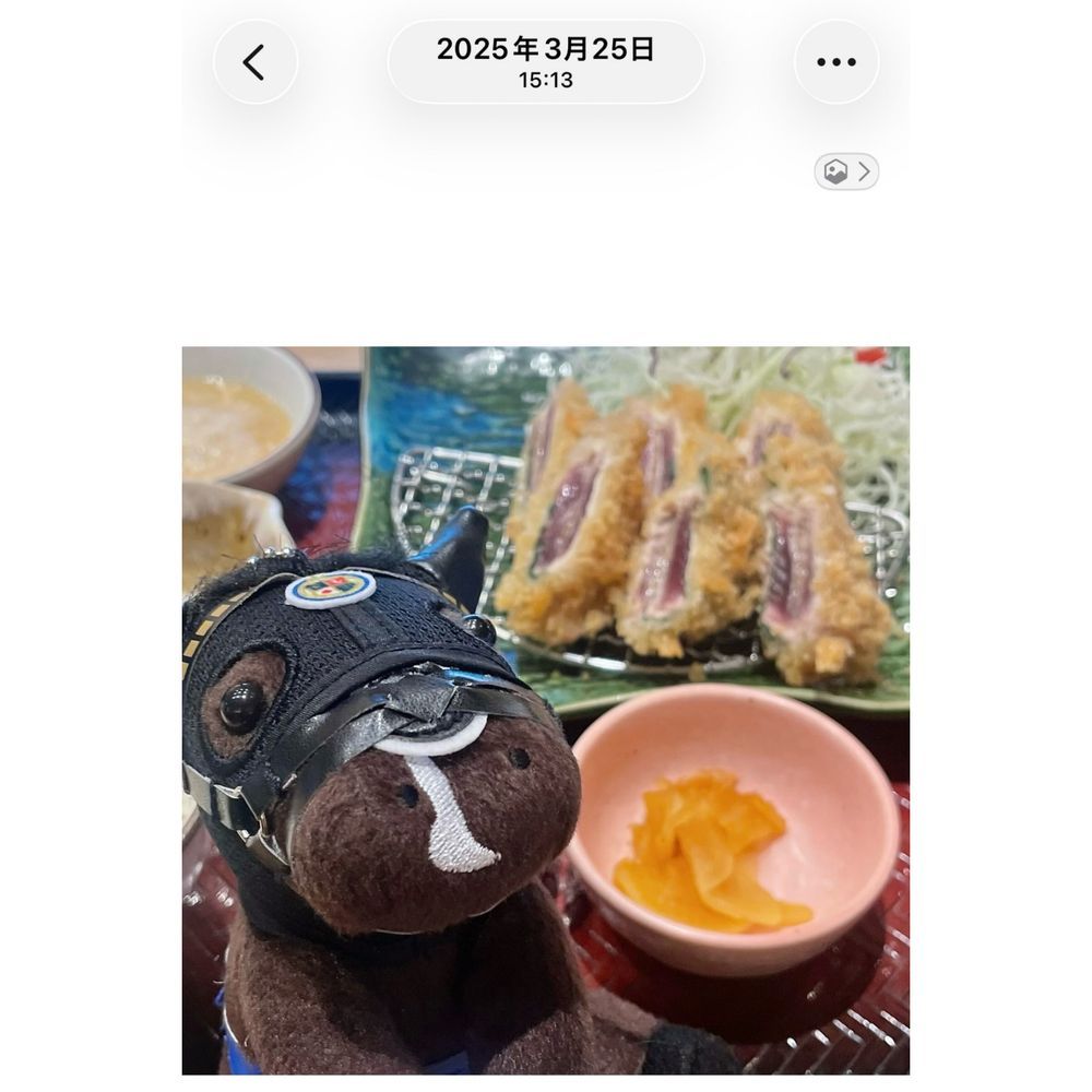 🐟鰹の梅はさみ揚げ定食🐟
去年も食べたけど今年も食べました。去年の今日は黒船賞で高知といえば鰹ってことで馬券的中祈願で食べて的中しました。今年の黒船賞は昨日でしたが、今年も的中したので今年は的中馬券払戻金で食べました。おいしかったです😋

ぬいはカムニャック。去年の今日はカムニャックはまだぬいにもなってないし、オークス馬でもないし、そもそもカムニャックの存在を知ったのはフローラSでした。今年もまだぬいになってないだれかがぬいになるわけなので楽しみです。それがわたしの推し馬だったらとてもいいな🧸🤎
