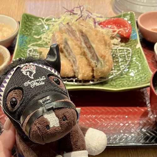 🐟鰹の梅はさみ揚げ定食🐟
去年も食べたけど今年も食べました。去年の今日は黒船賞で高知といえば鰹ってことで馬券的中祈願で食べて的中しました。今年の黒船賞は昨日でしたが、今年も的中したので今年は的中馬券払戻金で食べました。おいしかったです😋

ぬいはカムニャック。去年の今日はカムニャックはまだぬいにもなってないし、オークス馬でもないし、そもそもカムニャックの存在を知ったのはフローラSでした。今年もまだぬいになってないだれかがぬいになるわけなので楽しみです。それがわたしの推し馬だったらとてもいいな🧸🤎