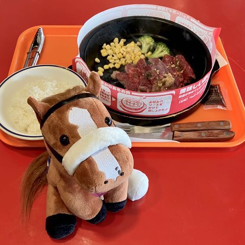🥩肉の日🥩
最近お迎えしたアイドルホース・テンハッピーローズちゃんとお出掛け。肉の日なのでステーキを食べました。美味しかったです😋

今年のアイドルホースオーディションはナムラクレアに毎日投票しようと思います。ナムラクレアは今日の高松宮記念がラストランでした。お疲れ様でした。

ドバイ勢もお疲れ様でした。フォーエバーヤングは2着で残念でした。個人的にはサウジ→ドバイのローテがきついのかなと思います。去年もサウジからの転戦組はドバイで勝てなかった記憶があります。エバヤンは今年で引退を発表されてますが、もしも引退撤回して来年もドバイに挑戦するなら、ドバイ直行ローテで挑戦してみてほしいですね。まずは人馬無事の帰国を願います。