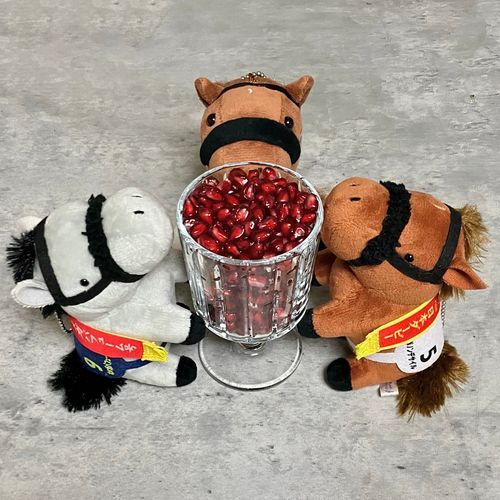 ♦️初ザクロ♦️
ビューティフルでジューシーでエレガントなお味でした。実をほぐすのが大変だと聞いたけど、筋子(いくら)をほぐしてるみたいで故郷の北海道を思い出しました。馬はザクロ食べられるのかな❓❓🐴🐴🦄🪽