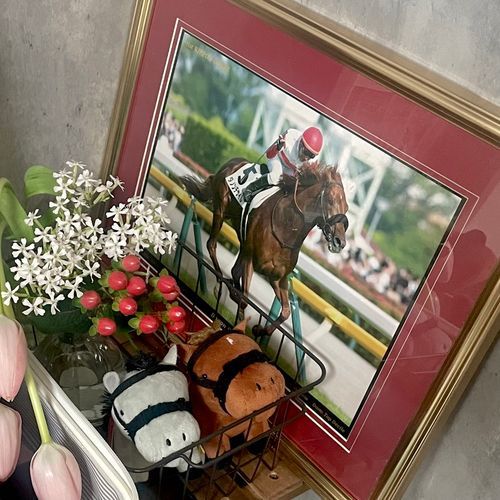 競馬界隈、いろいろあるけど、大事な日を忘れないようにしたい🌷

(最近はドラマ「ザ・ロイヤルファミリー」でファイト役とイザーニャ役を任された2頭の2歳馬のクラファンが問題視されておるのですが、イザーニャ役の2歳馬がオメガパフューム産駒らしく、デサイルとパフュームが同じ誕生日だから1年振りに登場させたのに、タイムリーな話題が微妙すぎて微妙な気持ちになった)(オメガパフュームはめっちゃ好きな馬で東京大賞典4連覇という字面だけで脳汁が…)(なのでこんな悪目立ちするの嫌だなあ。今年は初年度産駒デビューの年なのに。。。きっと走るよ)