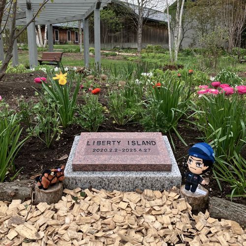 🐴ノーザンホースパーク🐴
少し遅めのゴールデンウィークを貰いましたので北海道帰省しております。まあすぐ東京に戻るんですけど。。。

ノーザンホースパークは新千歳空港から無料シャトルバスが出てるので遊びにきやすいです☺️ゴールデンウィーク明けだから空いてるかと思いきや混んでますし、修学旅行か何かで中学生がたくさんいて賑わってます☺️