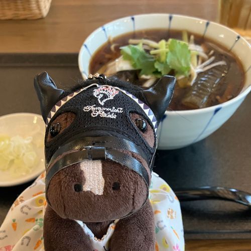 🐴ノーザンホースパーク🐴
揚げ茄子のお蕎麦を食べました。美味しかったです。お肉とか入ってなくて、ほんとにお茄子だけのお蕎麦だったけど、旨みと深みがあるお味でした。ここのレストラン美味しいので必ず食べたいです😋

今週の日曜日はヴィクトリアマイル。カムニャックが出走します。楽しみです🐱🌼