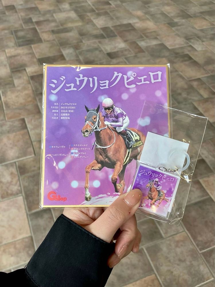 🏇東京競馬場🏇
今日はオークスでした。応援してた馬の1頭であるジュウリョクピエロが優勝しました。鞍上は22歳の女の子。たくさんの初めてを乗り越えてオークスを制覇しました。馬も強かったけど、せいなちゃんの騎乗が本当に上手で、「馬が強かっただけ」なんて言えない言わせない勝ち方でした。ゴール直後のガッツポーズがめっちゃかっこよかった。。。凱旋門賞に挑戦するかもしれなくて、すごく楽しみなのですが、父・オルフェーヴルの二の舞にならないように…鞍上はせいなちゃんで…お願いします…お祈り🙏

記念にミニ色紙とアンブレラチャームが発売されるとのことで、朝8:00に競馬場に行きました。アゲアゲギャルちゃんも無事にお迎えできてよかったです。歴史的瞬間に立ち会うことができて、ドラマや映画の世界に入り込んだような夢のような時間でした🎀