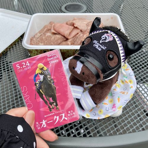 🏇東京競馬場🏇
東京競馬場はシュタルケ×カムニャックランドと化していました。シュタルケは引退しちゃったけど、カムニャックは川田と頑張ってます。川田はお手馬が多いのでいつ乗り替わりしてもショックを受けないように心の準備はしてます。。。ヴィクトリアマイルもクイーンズウォークに乗ると思ってましたが、カムニャックに乗ってくれて嬉しかったです😊

来年は今村聖奈×ジュウリョクピエロランドだな。楽しみだな。もしかして来年の今頃は凱旋門賞馬になってるかもしれない。。。