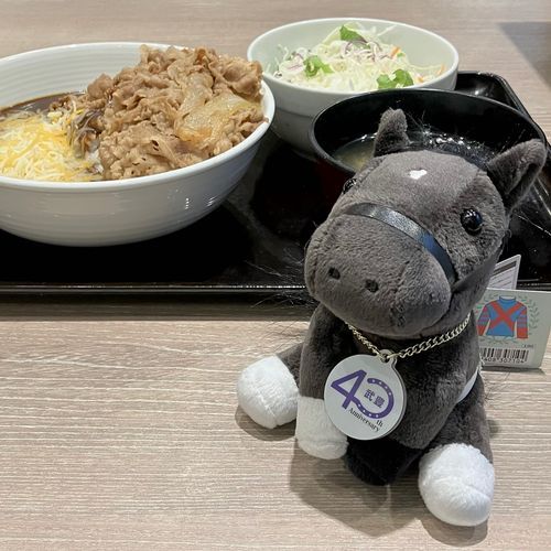 🍛夜ごはん🍛
金曜日に武豊展に行きました。キズナのグッズをいろいろ買ってキズナのぬいぐるみもお迎えしました。YUTA curry(武豊がプロデュースしたカレー)を見たらカレーが食べたくて食べたくて仕方なくなったので、とりあえず吉野家で🍛

スペシャルウィークとかディープインパクトとか数ある名馬の中からキズナの写真をキービジュアルに選んでキズナ産駒のシックスペンスでGⅠ勝つの千両役者すぎるゆたかさんだな〜と思いました👀✨