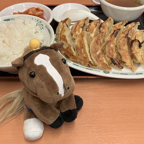 🍜日高屋🍜
🥟W餃子定食🥟
オルフェーヴル産駒がWオークス制覇したので記念？に…というか昨日の日曜日に東京競馬場に遊びに行ったんだけど食欲なくて何も食べられなくて、帰りの電車で腹ぺこになり日高屋へ。サッカーボーイとオルフェーヴルは親戚らしい👬そういえばサッカー勝ったね🇯🇵すごいね🇯🇵