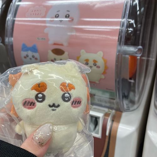 ちいかわ最推しシーサーちゃんげっと🧡シーサーちゃん出るまで回すつもりが1回で当たりました🧡🧡🧡ラッキーデイでした🎶