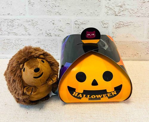 家主がハロウィンのおかしかってきたよ🎃かりんとうだって！