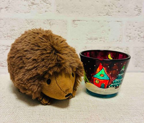 キャンドルライトだよ🦔🎄🕯️