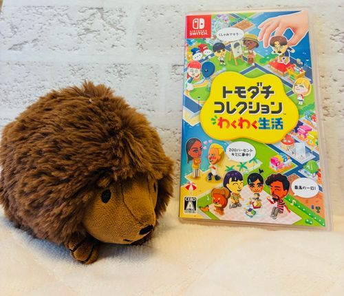家主があたらしいゲームをかってきたよ！