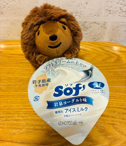 家主がおいしいアイスクリーム買ってきてくれました🍨