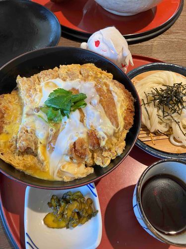 あるじさまは、どんぶりものがおすきですね？ よくたべているきがします。