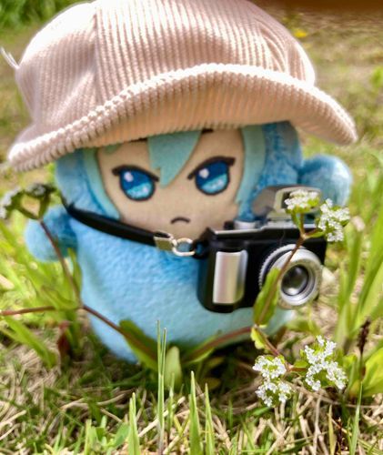 かんさつ🔍