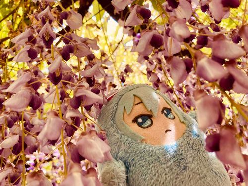 そーちゃんいろ だな☺︎
