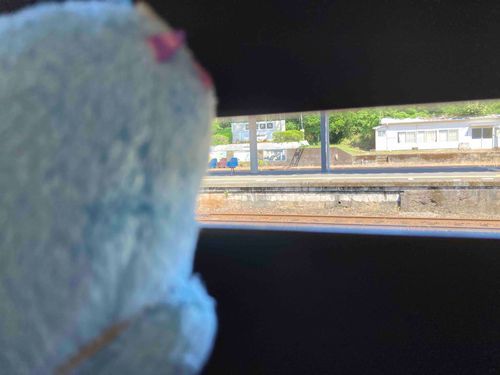 かいぬしが こころぼそいってゆーから つきそい。
これから しばらく でんしゃたびー🚃