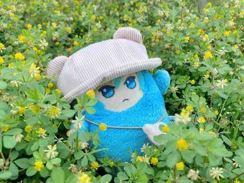 ちいさいおはな
かわいー☺︎