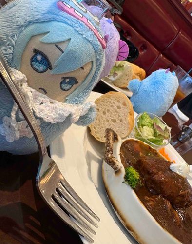 きょうは おともだちと おしょくじかい してきたよ(*´꒳`*)
かいぬしも おれも だいまんぞく！