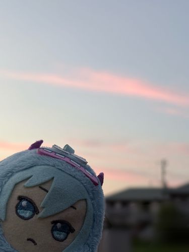 おそらがきれいでした(*´꒳`*)