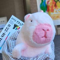 ピンちゃん