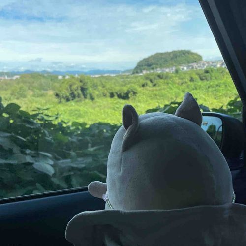 すごく緑が豊かなところに来たなあ〜
主ちゃんどこにいくのかな？？