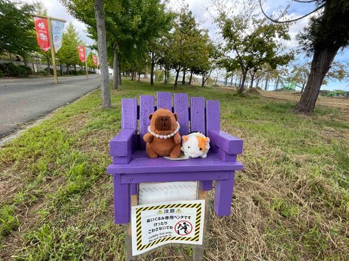 みてみて！こんなベンチもあった！
ぼくたち用のベンチ😆
空いてたから、主ちゃんも恥ずかしげもなく撮れたみたい📷🤭