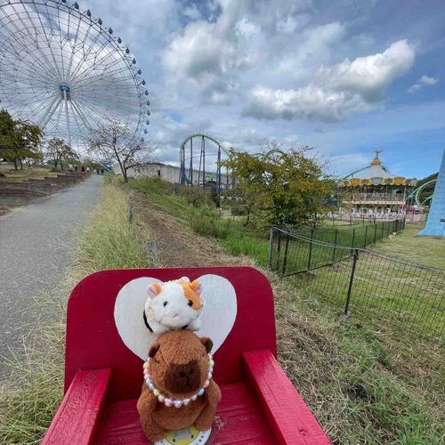 こんなラブラブ席もあったよ🤭💕