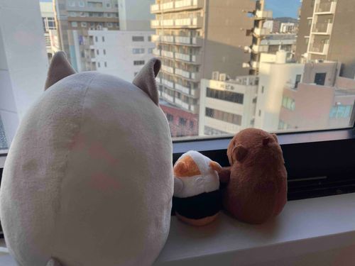 ホテルに着いたよ！
今回もお宿はどーみーいんってところみたい！
主ちゃんいわく、お風呂と朝ごはんが良いんだってさ😊