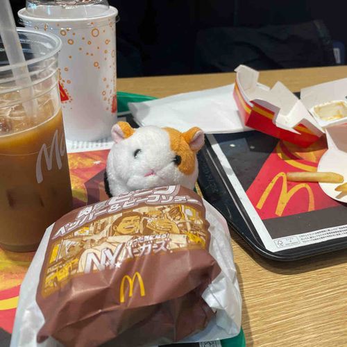 こちらはマクドナルドに行った時の写真😊
いろんなお店に連れて行ってもらえて、うれしいな☺️