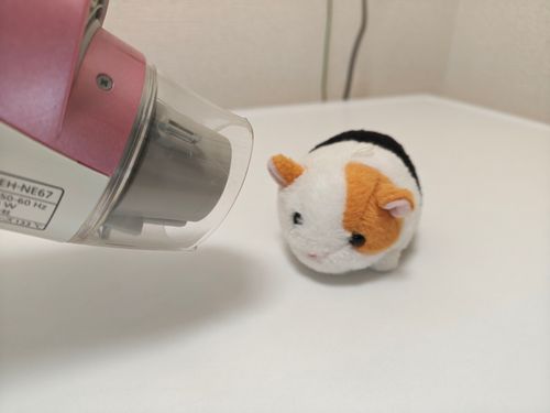 今日は生まれて初めてお風呂に入ったよ！
スポンジみたいにしぼられて、石けんの香りになったよ😊🧽🫧
しばらくは部屋干しされます😴