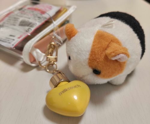 主ちゃんは最近流行りのミニコスメをゲットしたんだって！最近頑張ってる自分へのご褒美だってさ😊ぼくもご褒美ほしいなあ！😆