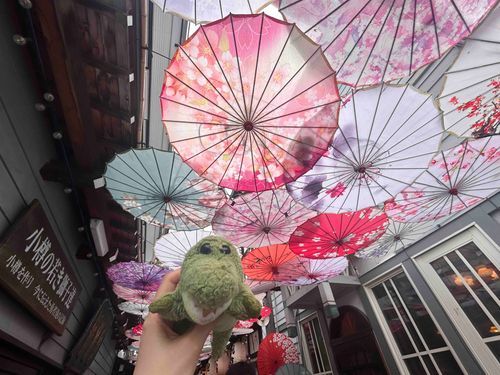 涼しげだね