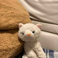 ホワイト