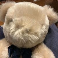 みるくたち　見る専です！！