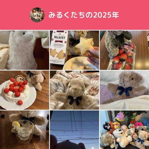 🧸なつかしいね〜
2026年もみんなよろしくね！🎍