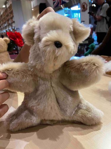 🧸みてみて〜
ぼく命を吹き込まれる前これだったの！🤭
しなしな〜