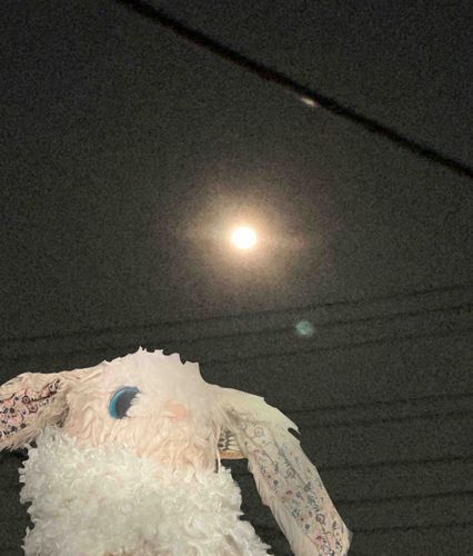🐇みんな久しぶりです〜✨
今日は満月🌕みたいです🎵みんなのお家からは見えましたか？😆💫

合成が雑ですみません…💦