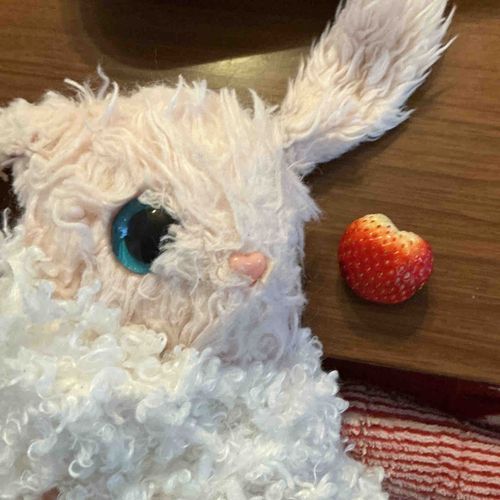 🐇朝ごはんにハートのいちご🍓がありました❤️
なんだかいいことが起きそうな予感です♪