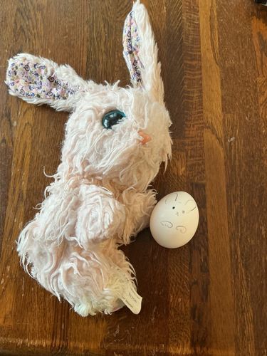 🐇だいぶ遅れましたが…イースターですね！！
うさぎさんたちが主役の日です♪🐰