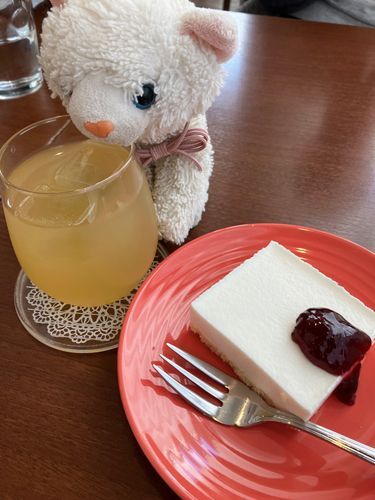 🐈みんな久しぶりだにゃ〜！
結構前にカフェに行った時のお写真だにゃ🍽️
チーズケーキとりんごジュースを飲んだにゃ🍹