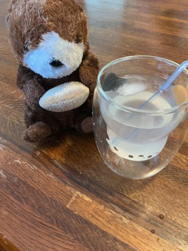 🦦シーラだよ〜
みてみて!このコップ可愛くない?(*´︶`*)飲み物入れるとねこちゃんになるやつ〜🐈グリーンダカラを入れたよ〜!全然みえないけど市販のひうがなつゼリーが入ってるんだ〜
グリーンダカラにもレモンとか入ってるみたいでそこまでゼリーの味を感じなかったよ〜…
