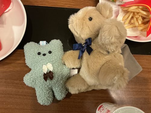 🧸今日はなんとっ!ぼくの1歳のお誕生日と主のお誕生日だよ〜✨マックを食べたんだ!🍟🍔
そしてみんなが気になってると思う左の子は、主がふわもこの作れる場所へ行ってきて生まれたんだ〜!✨
ミントちゃん って言うみたいだよ!🌿🩵
1歳になったぼくとミントちゃんをよろしくね〜!