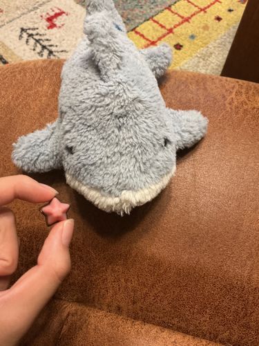🦈ちょっとサボってたら投稿1ヶ月も空いちゃった💦ごめんね〜…！！
このお写真は星形アポロだよ！✨珍しかったから撮っちゃった！⭐️🍫実はこのアポロ、なんでか分からないけど冷凍してるんだ！ポリポリしてて美味しかったよー！🍓