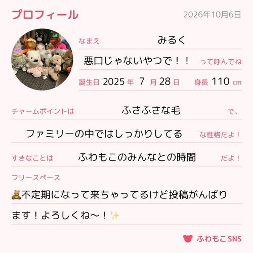 🧸ぼくもプロフィール書いてみたよ〜！📝
意外とあんまりやったことなくて楽しかった〜！✨
みんなこれからもよろしくね〜！🙇‍♀️