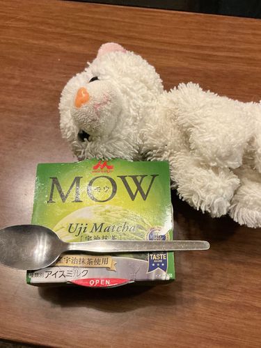 🐈ホワイトだにゃ〜✨
抹茶アイスだにゃ！🍵普段あんまり食べないけどとっても美味しかったにゃ〜！💕✨