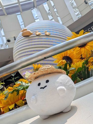 おでかけ、してきた